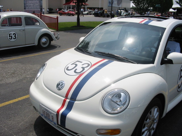 Copy of IMG_8588.JPG